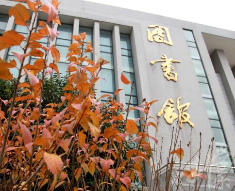 新(xin)疆競技(ji)體(ti)育運動(dòng)學(xué)校